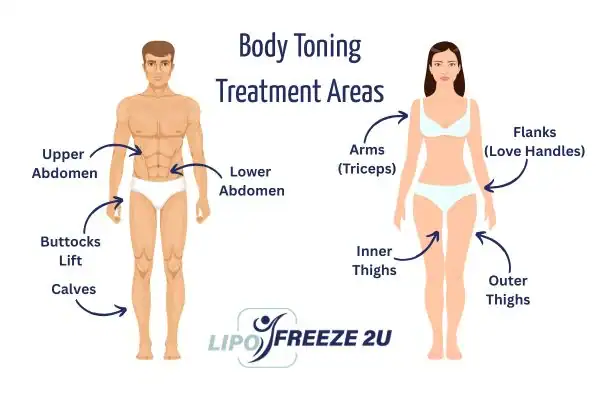 Graphic showing where you can have Body toning Treatment Weston Super Mare on your body